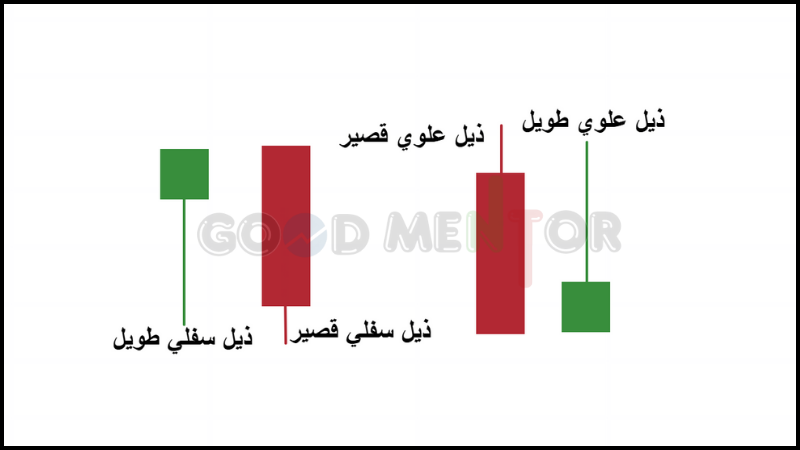 الذيول العلوية والسفيله
