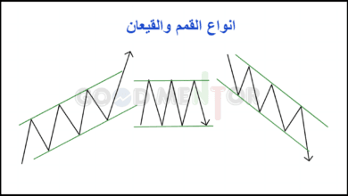 تصميم بدون عنوان 3