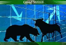 الدببه والثيران في الدعوم والمقاومات