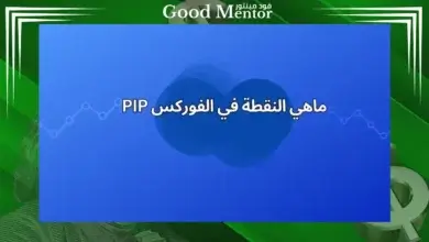 ماهي النقطة في الفوركس وطريقة حسابها