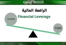 ماهي الرافعة المالية في سوق الفوركس - وطريقة أستخدامها بالطريقة الصحيحة